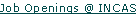Jobs  @ INCAS